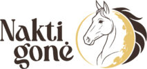 Naktigonė